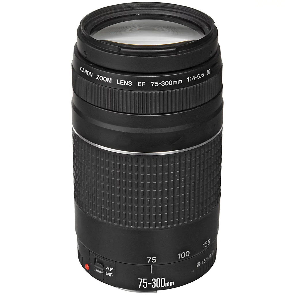 Canon  R6 Mirrorless Camera with  24-105mm  + 75-300mm Lens + Mount Adapter + 32GB SanDisk + ZeeTech Accessory