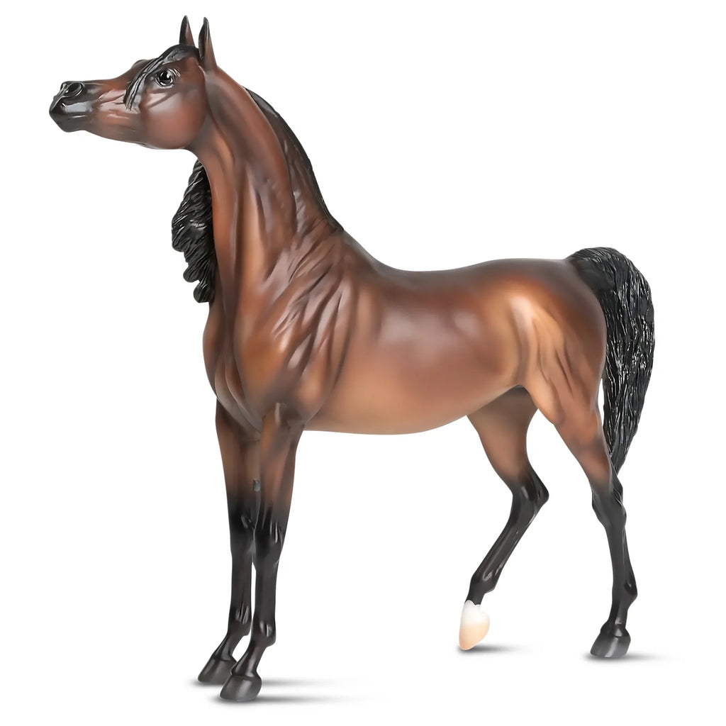 The Traditional Series -  Marciea Bey, Champion Arabian