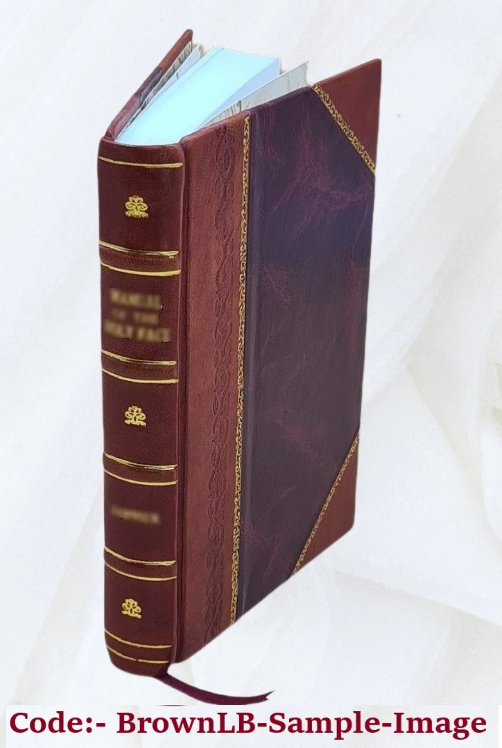 White and black: an inquiry into South Africa's greatest problem 2022 [Leather Bound]