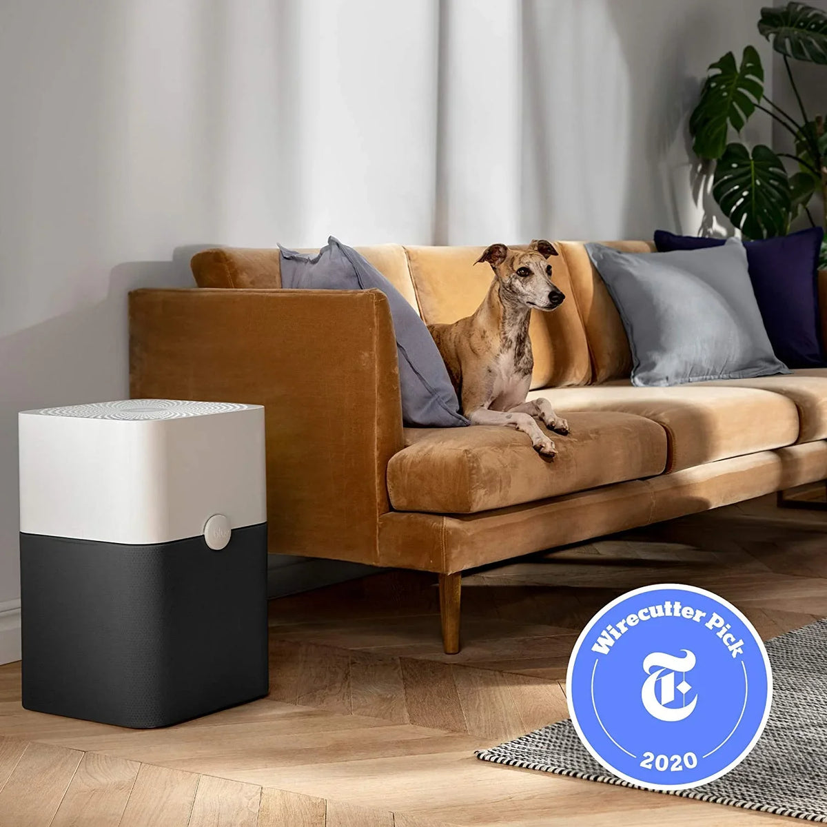 Blueair Blue Pure 211+ Air Purifier 3 Stage with Two Washable Pre-Filters, Particle, Carbon Filter, Captures Allergens, Odors, Smoke, Mold, Dust, Germs, Pets, Smokers, Large Room