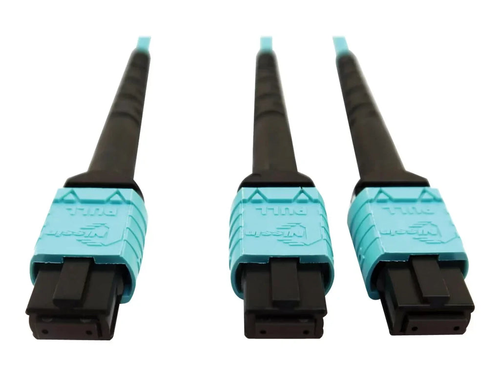 Eaton Tripp Lite Series 400G Multimode 50/125 OM4 Plenum Fiber Optic Cable, 24F /- to (x2) 12F /- (F/F), Aqua, 5 m - Network cable - // multi-mode (F) to // multi-mode (F) - 5 m - fiber optic - 50 / 125 micron - OM4 -