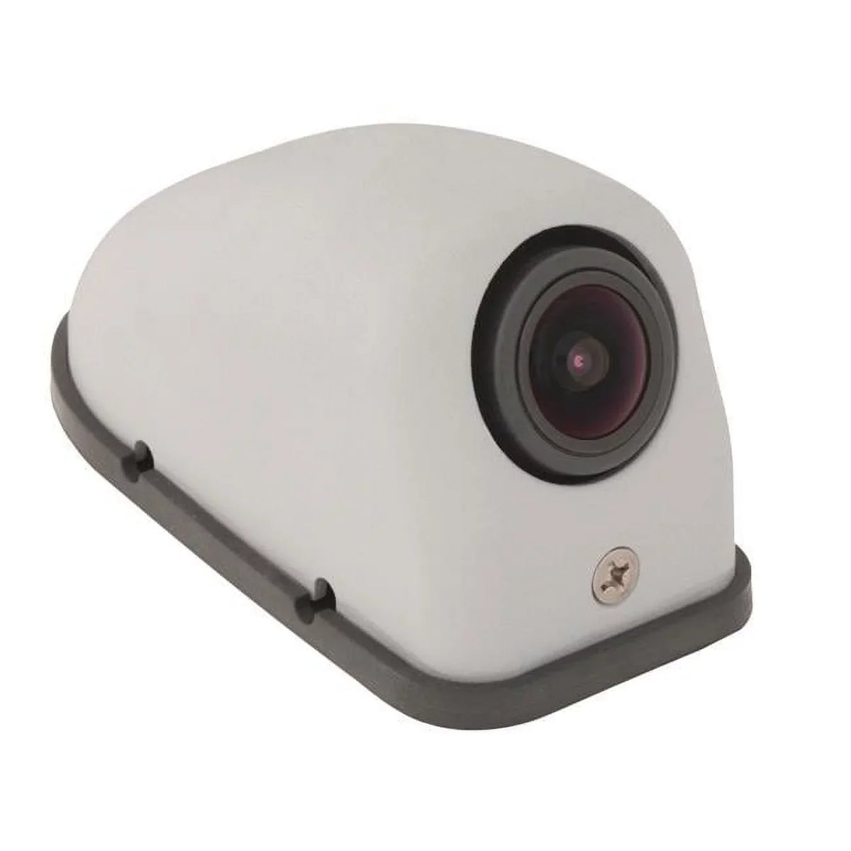 Electronics  Right Side Voyager Super Body Camera, Grey