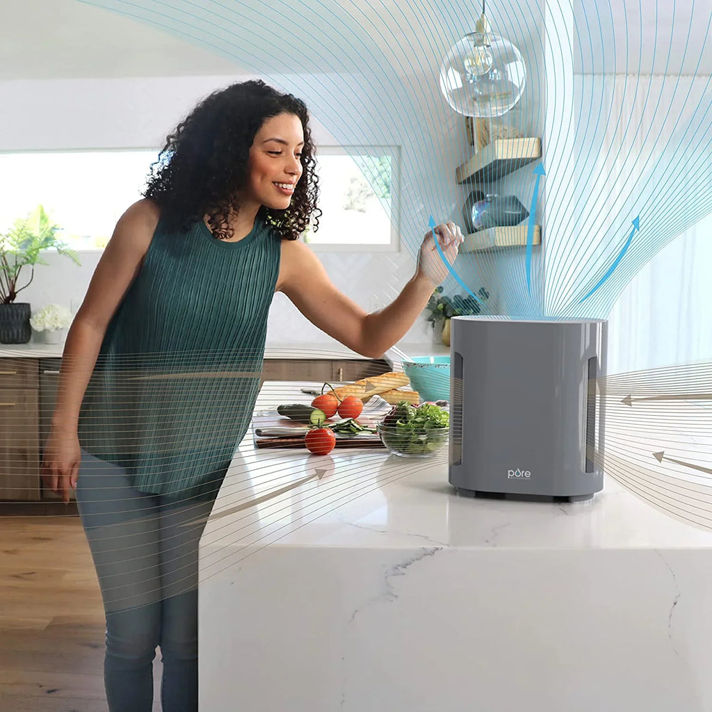 Bear Down Brands Pure Enrichment PureZone True  Air Purifier