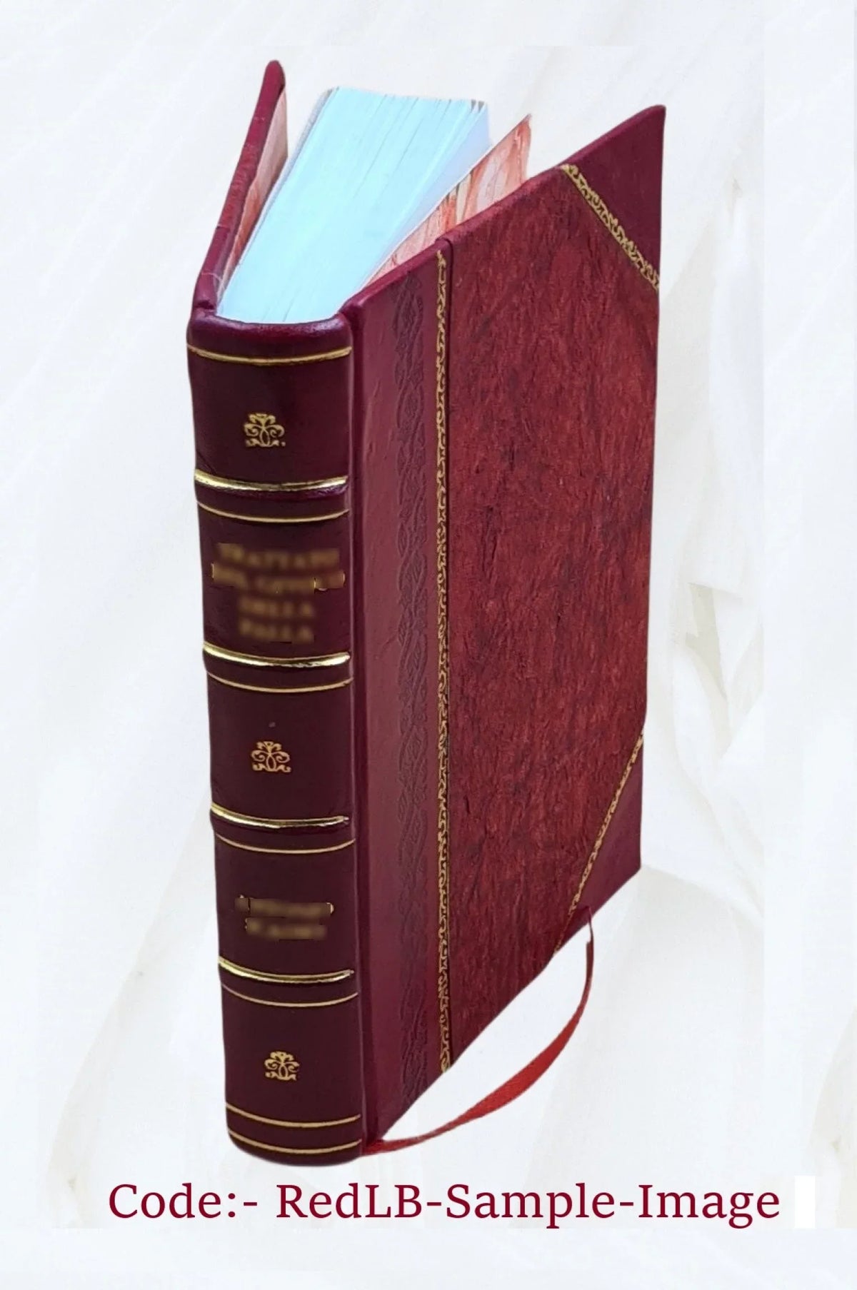 The Voyage of Captain Don Felipe González in the Ship of the Line San Lorenzo, with the Frigate ... 1908 [Leather Bound]