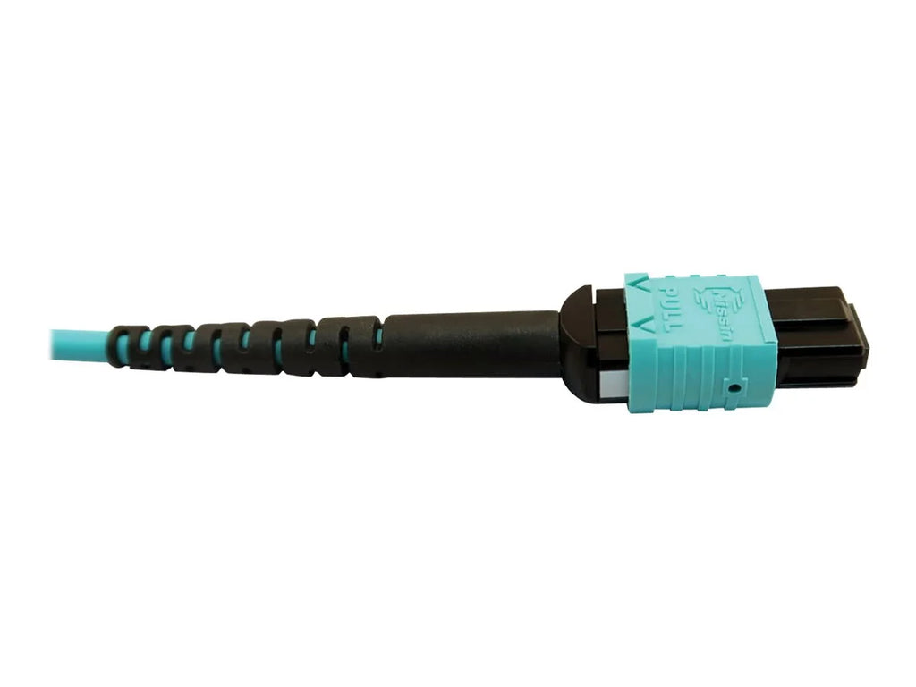 Eaton Tripp Lite Series 400G Multimode 50/125 OM4 Plenum Fiber Optic Cable, 24F /- to (x2) 12F /- (F/F), Aqua, 5 m - Network cable - // multi-mode (F) to // multi-mode (F) - 5 m - fiber optic - 50 / 125 micron - OM4 -