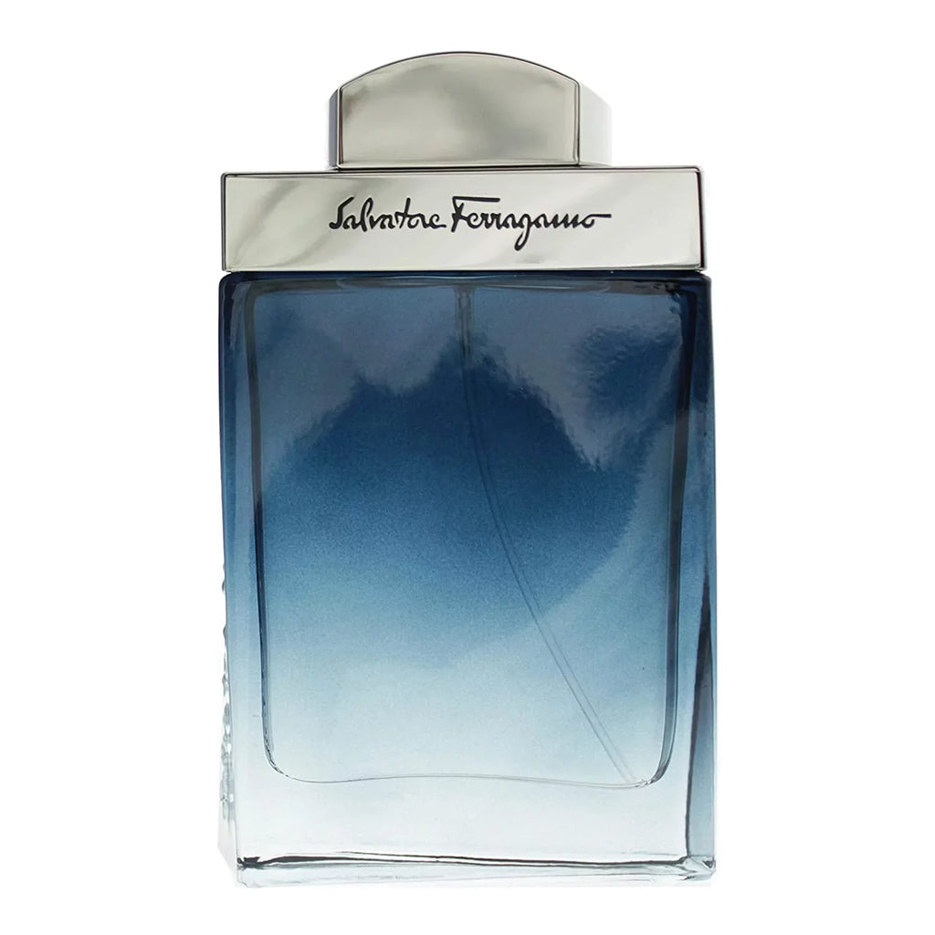 Salvatore Ferragamo Subtil pour Homme Eau de Toilette 3.4 fl oz *