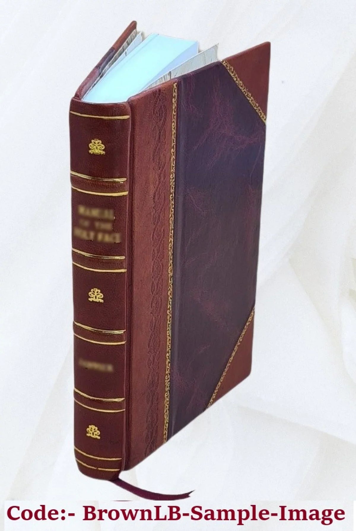 Maphaei S.R.E. card. Barberini nunc Vrbani pp. 8. Poemata 1631 [Leather Bound]